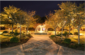 培训管理系统的ddos免费测试